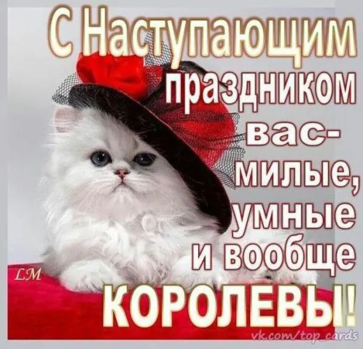 Картинки с наступающим 8 Марта (красивые и прикольные). С наступающим 8 Марта — картинки прикольные