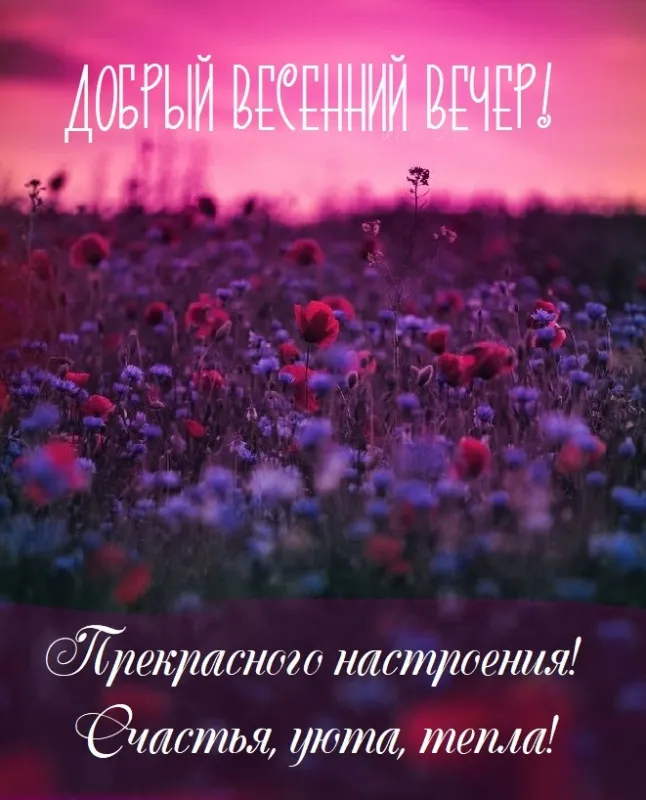 Добрый весенний вечер — красивые картинки. Весенние картинки Добрый вечер с пожеланиями&nbsp;