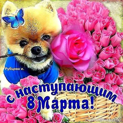 Картинки с наступающим 8 Марта (красивые и прикольные). Красивые картинки с наступающим 8 марта