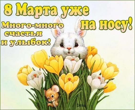Картинки с наступающим 8 Марта (красивые и прикольные). Красивые картинки с наступающим 8 марта
