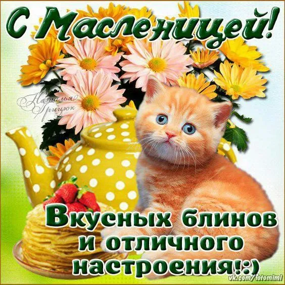 Красивые и прикольные картинки с Масленицей. С Масленицей: картинки красивые и новые