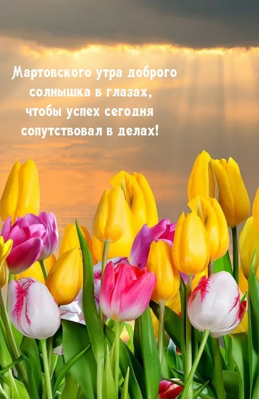 Красивые картинки Доброе мартовское утро. Доброе утро марта — картинки с пожеланиями
