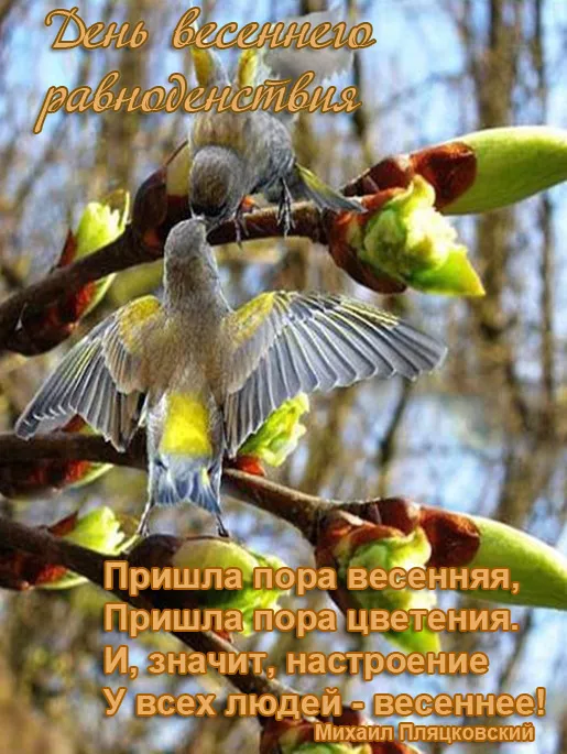 Картинки с Днем весеннего равноденствия. С Днем весеннего равноденствия — картинки с пожеланиями