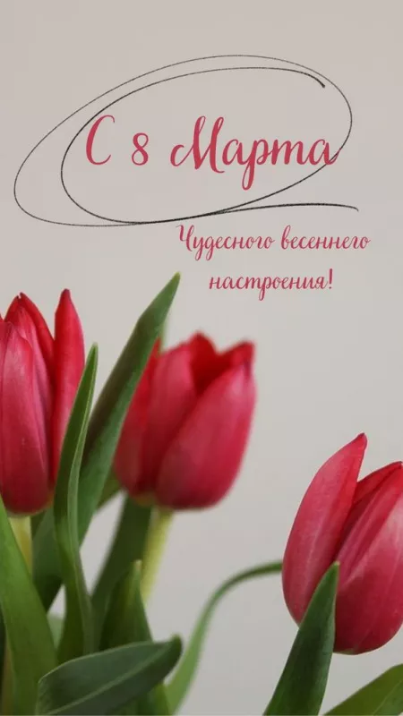 Красивые картинки на 8 марта коллегам. Красивые картинки на 8 марта коллегам