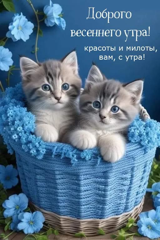 Красивые картинки С добрым весенним утром