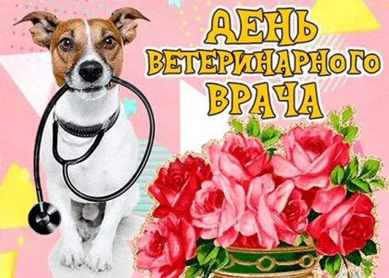 Красивые картинки с Днем ветеринарного врача. Прикольные картинки с Днем ветеринарного врача