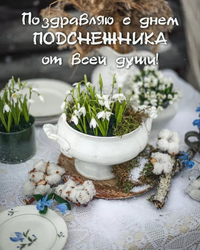 Картинки с Днем подснежника. Красивые картинки с Днем подснежника: прикольные и новые