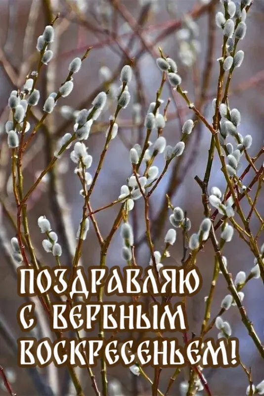 Красивые открытки с Вербным Воскресеньем. Красивые и новые картинки с Вербным Воскресеньем