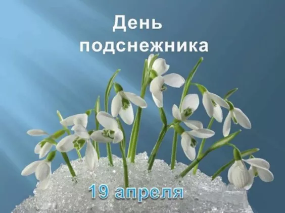 Картинки с Днем подснежника. Красивые картинки с Днем подснежника: прикольные и новые