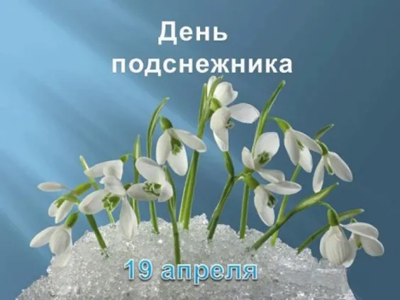 Картинки с Днем подснежника. Красивые картинки с Днем подснежника: прикольные и новые