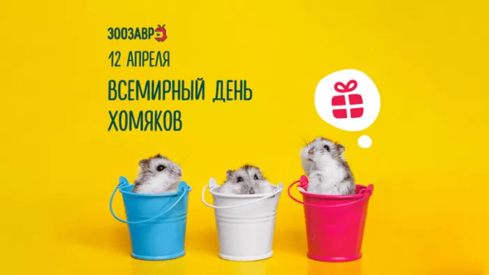 Картинки с Днём хомяка. Прикольные картинки с надписями на Всемирный день хомяка