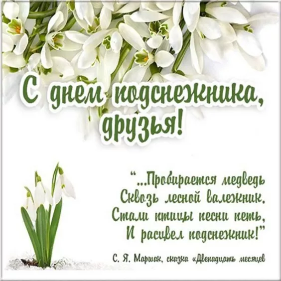 Картинки с Днем подснежника. Красивые картинки на День подснежника с надписями и поздравлениями&nbsp;
