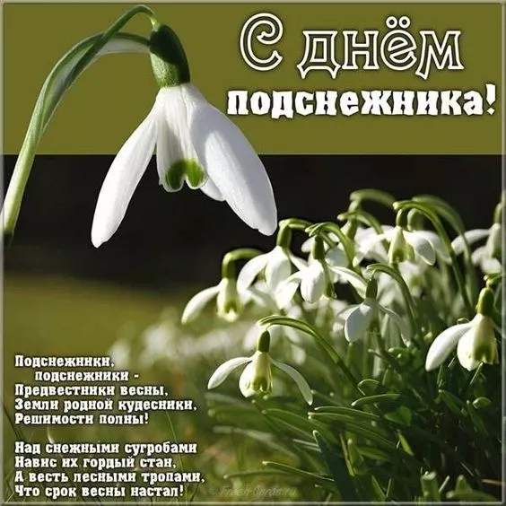Картинки с Днем подснежника. Красивые картинки на День подснежника с надписями и поздравлениями&nbsp;