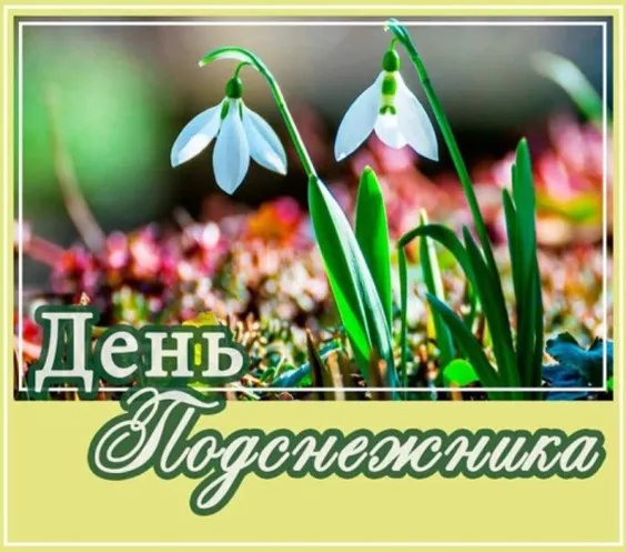 Картинки с Днем подснежника. Красивые картинки с Днем подснежника: прикольные и новые