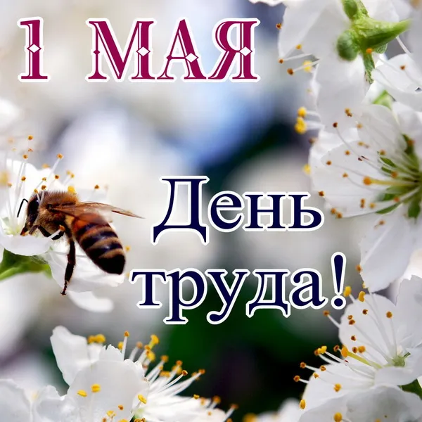 Красивые и прикольные картинки с 1 мая. Красивые картинки с надписями 1 Мая