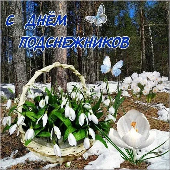 Картинки с Днем подснежника. Красивые картинки с Днем подснежника: прикольные и новые