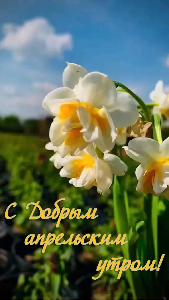 Красивые картинки с Добрым апрельским утром