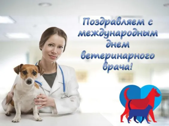 Красивые картинки с Днем ветеринарного врача. Прикольные картинки с Днем ветеринарного врача