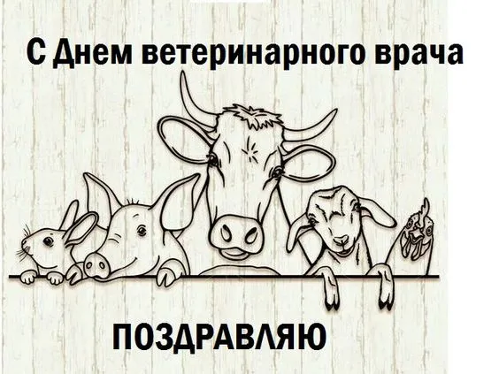 Красивые картинки с Днем ветеринарного врача. Прикольные картинки с Днем ветеринарного врача
