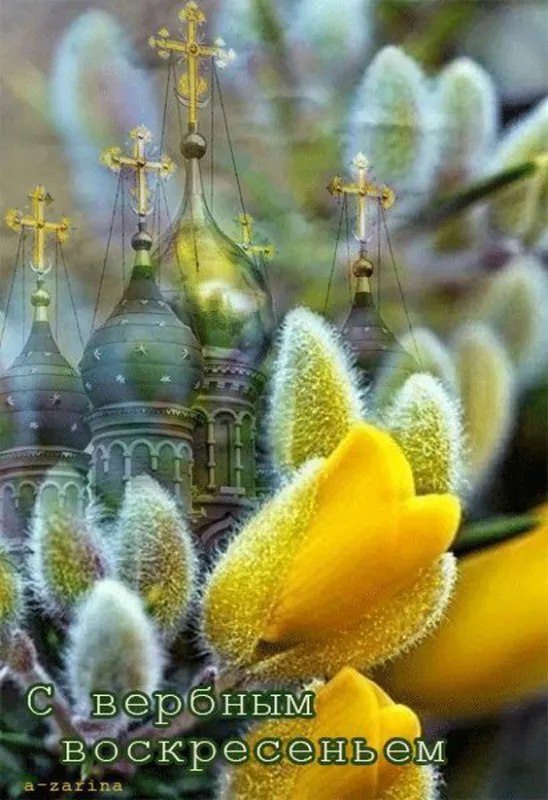 Красивые открытки с Вербным Воскресеньем. С Вербным Воскресеньем - картинки с надписями и поздравлениями