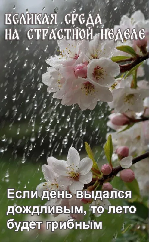 Красивые картинки с Великой средой. Народные приметы в Великую среду