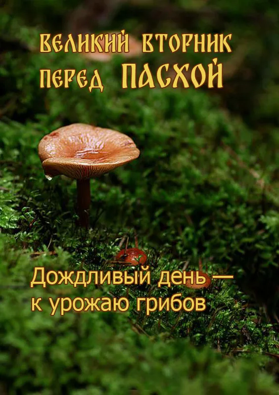 Красивые и новые картинки с Великим вторником. Новые картинки на Великий вторник Страстной недели с приметами