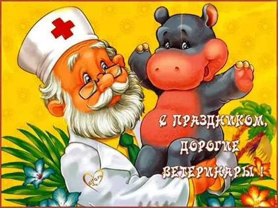 Красивые картинки с Днем ветеринарного врача. Прикольные картинки с Днем ветеринарного врача