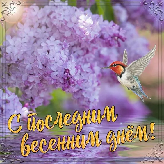 Картинки с последним днем весны (49 штук). Красивые картинки с последним днем весны 31 мая