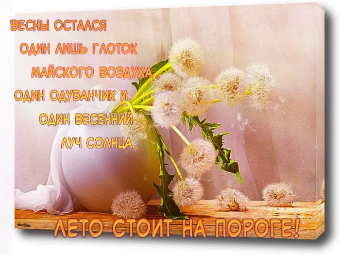 Картинки с последним днем весны (49 штук). Картинки с последним днем весны - завтра лето
