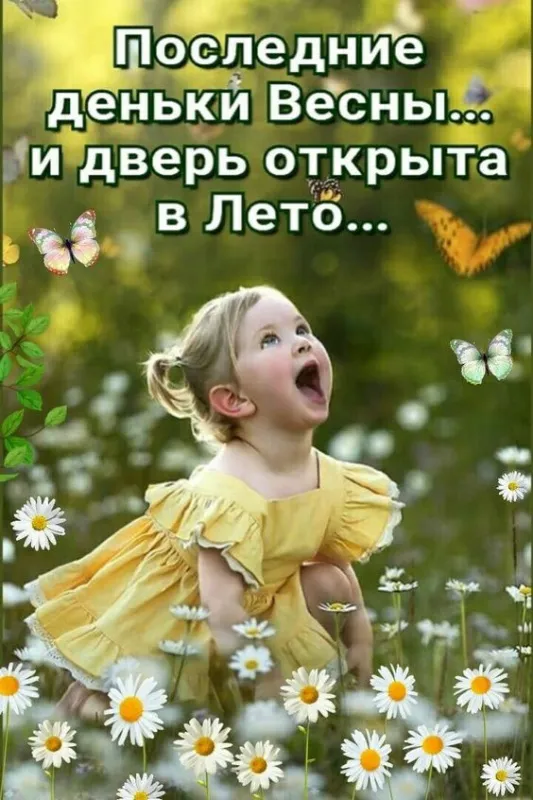 Картинки с последним днем весны (49 штук). Прикольные картинки с последним днем весны