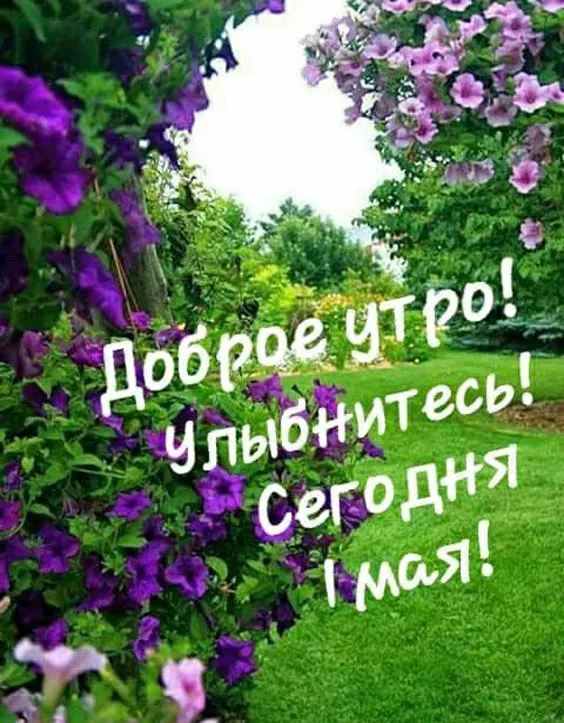 Красивые картинки с Добрым майским утром. Доброе первое майское утро: картинки красивые
