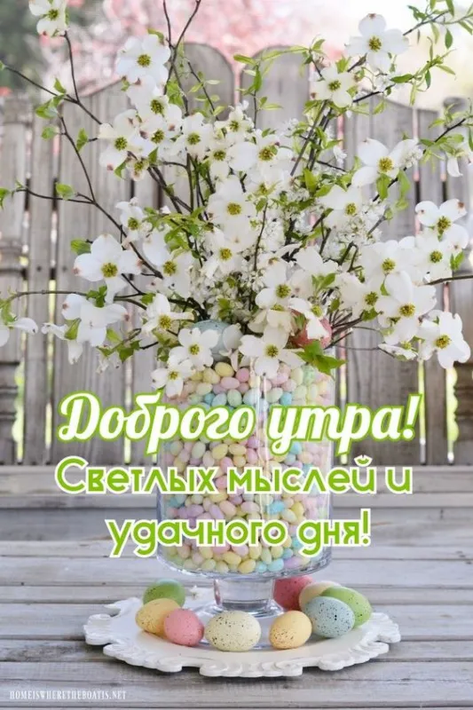 Красивые картинки с Добрым майским утром. Доброе утро: картинки майские