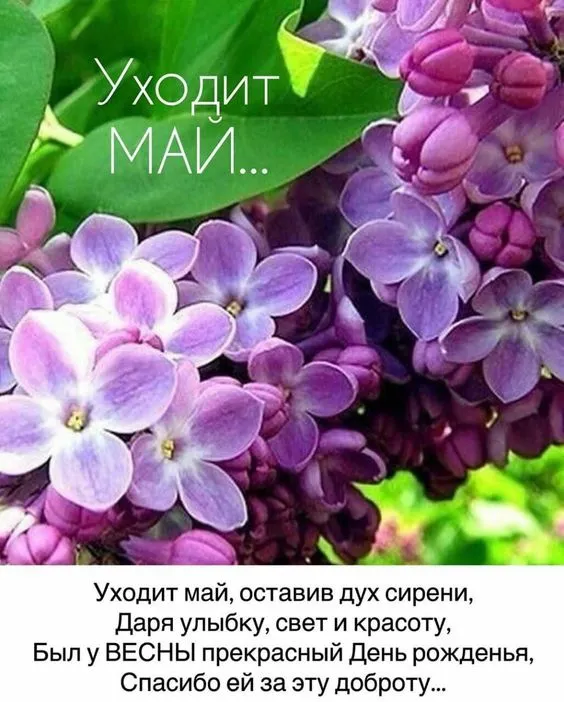 Картинки с последним днем весны (49 штук). С последним днем весны: картинки с надписями и пожеланиями&nbsp;