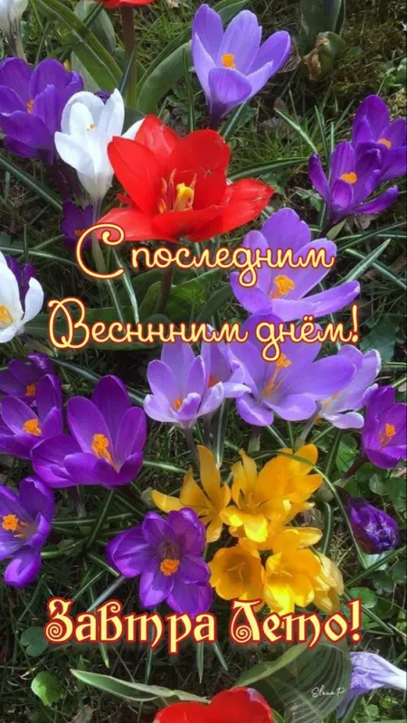 Картинки с последним днем весны (49 штук). Картинки с последним днем весны - завтра лето