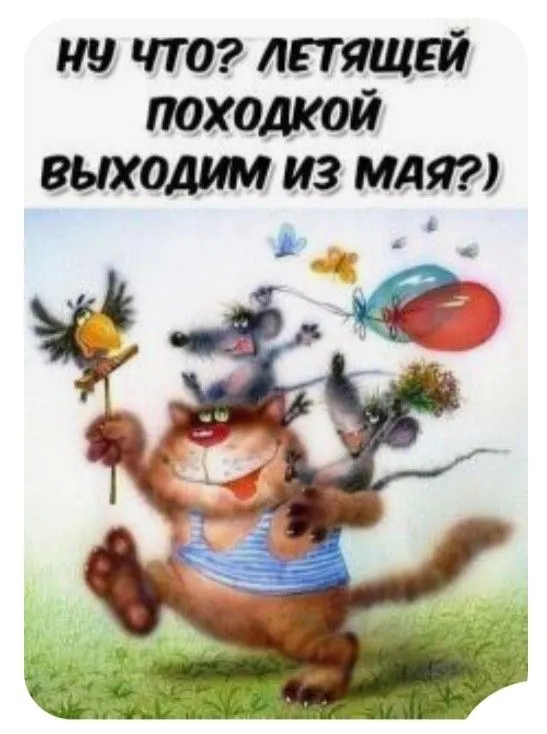 Картинки с последним днем весны (49 штук). Прикольные картинки с последним днем весны