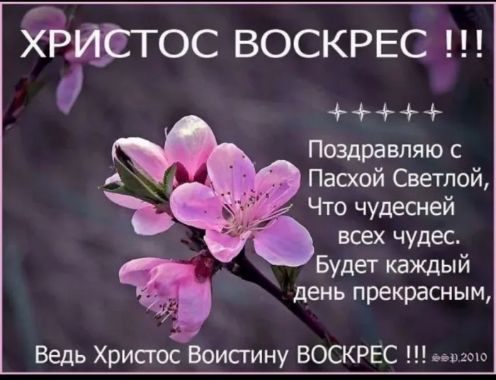 Красивые картинки с Пасхой Христовой. С Пасхой Христовой &nbsp;— красивые картинки с поздравлениями