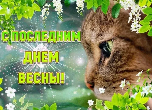 Картинки с последним днем весны (49 штук). Красивые картинки с последним днем весны 31 мая