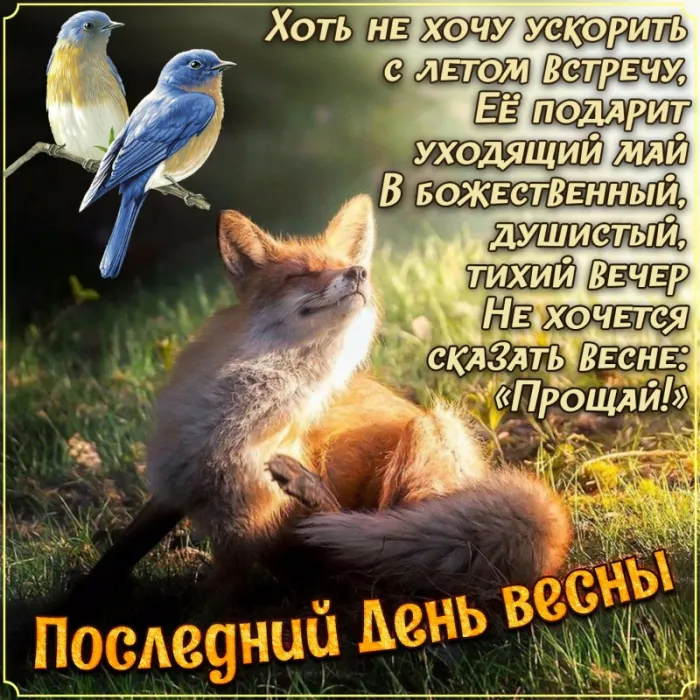 Картинки с последним днем весны (49 штук). С последним днем весны: картинки с надписями и пожеланиями&nbsp;