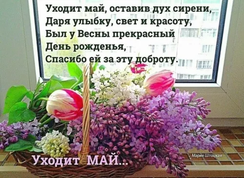 Картинки с последним днем весны (49 штук). С последним днем весны: картинки с надписями и пожеланиями&nbsp;