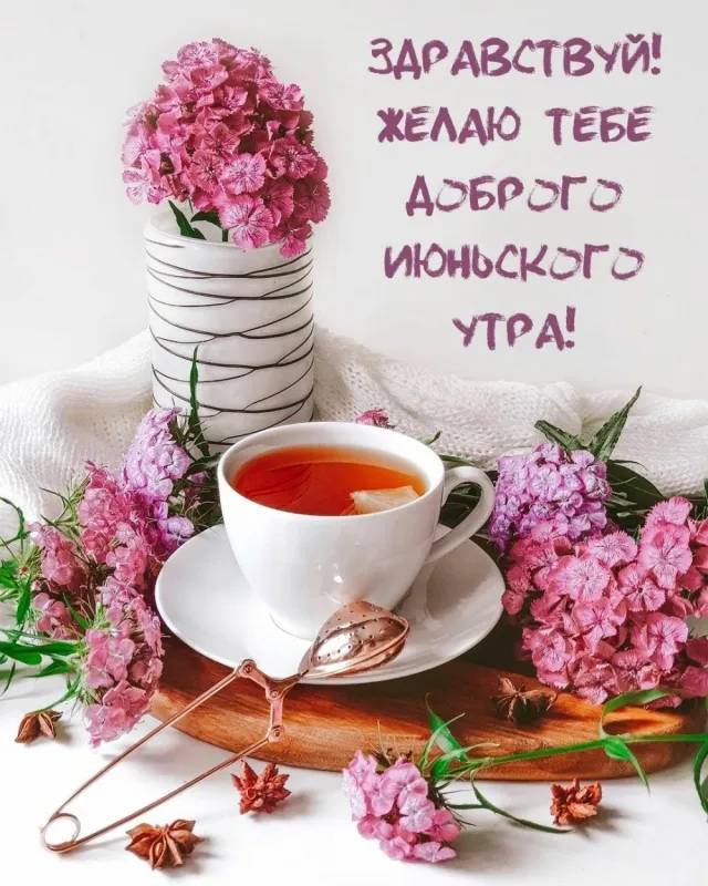 Картинки с добрым утром июня. Доброе утро июня — открытки с надписями