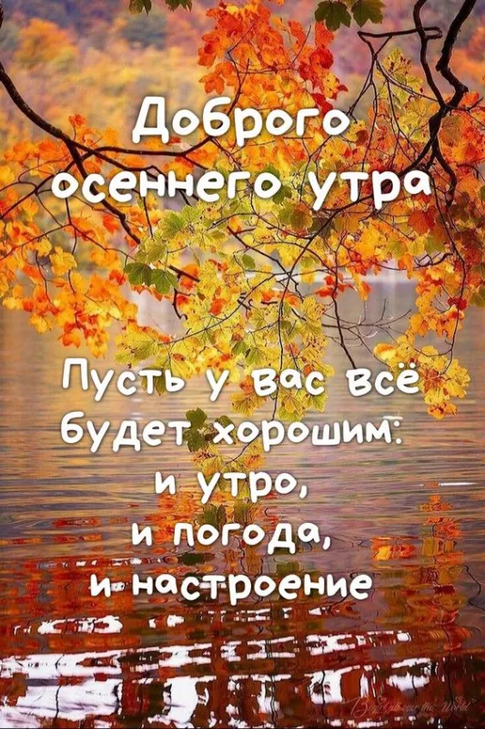 Картинки «Доброе осеннее утро» — скачать бесплатно. Осенние пейзажи и кофе — доброе утро в картинках