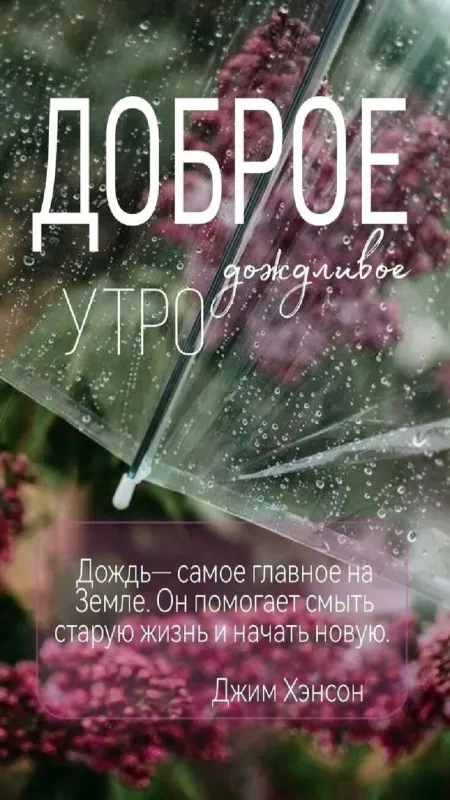 Картинки «Доброе осеннее утро» — скачать бесплатно. Осенние пейзажи и кофе — доброе утро в картинках