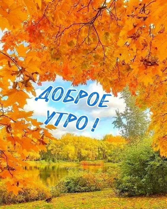 Картинки «Доброе осеннее утро» — скачать бесплатно. Доброе осеннее утро: картинки красивые и новые