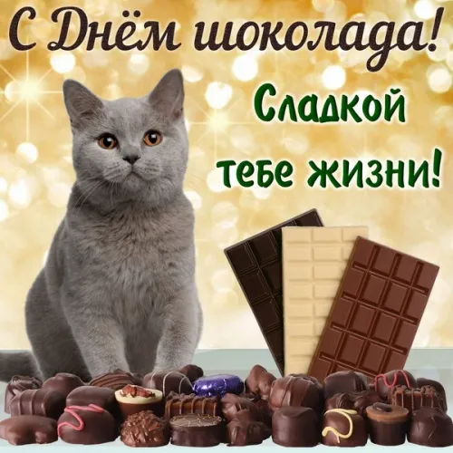 Красивые и прикольные картинки с Днем шоколада. Красивые картинки с надписями на День &nbsp;шоколада