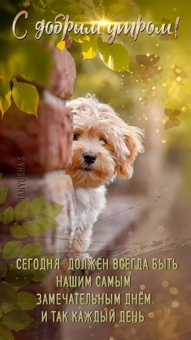 Картинки «Доброе осеннее утро» — скачать бесплатно. Прикольные картинки «Доброе осеннее утро»