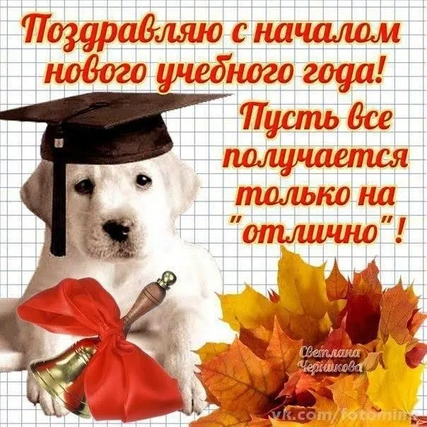 Картинки с Началом учебного года. С началом учебного года: картинки с надписями и поздравлениями&nbsp;