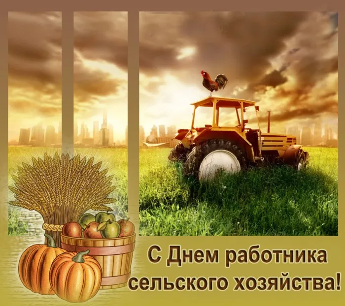 Красивые картинки с Днём работника сельского хозяйства. Красивые картинки с Днём сельского хозяйства и и перерабатывающей промышленности