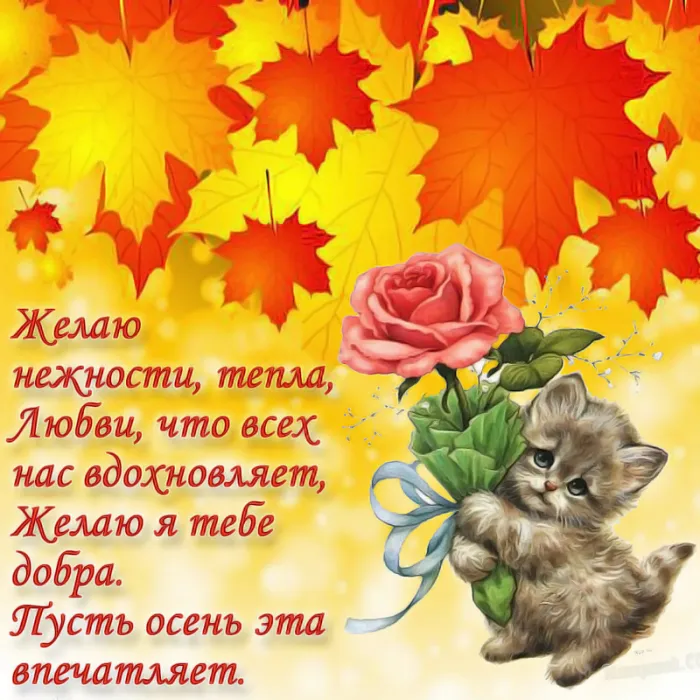 Красивые картинки на День собирания осенних листьев. С Днём собирания осенних листьев: картинки с надписями и пожеланиями