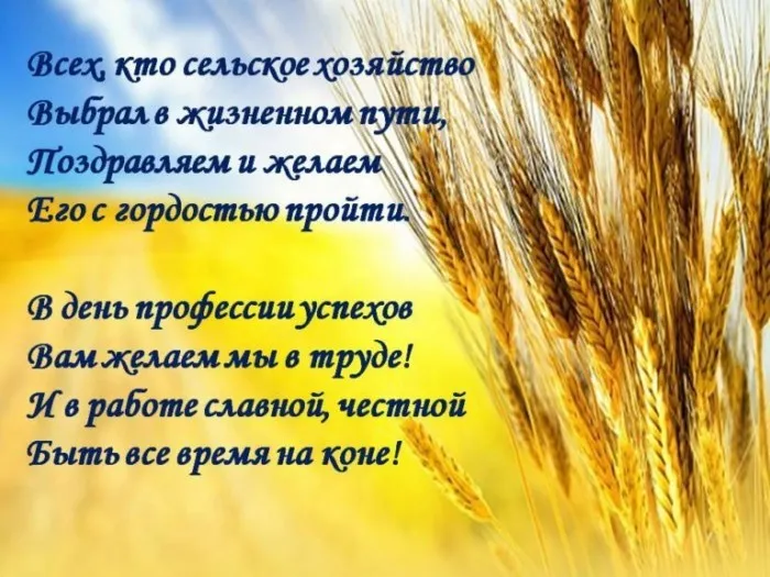 Красивые картинки с Днём работника сельского хозяйства. Картинки с Днем работника сельского хозяйства с надписями и поздравлениями