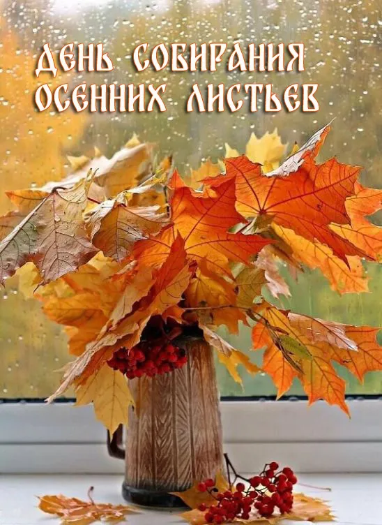 Красивые картинки на День собирания осенних листьев